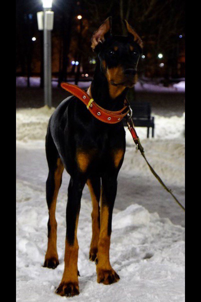 Первое фото