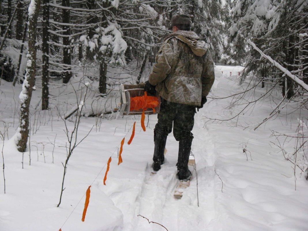 Фото из интернета. 