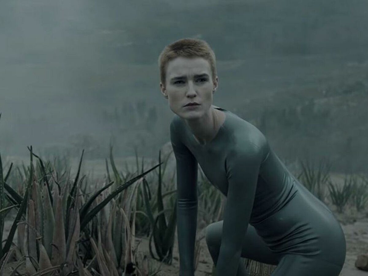 Фотография взята из открытых источников