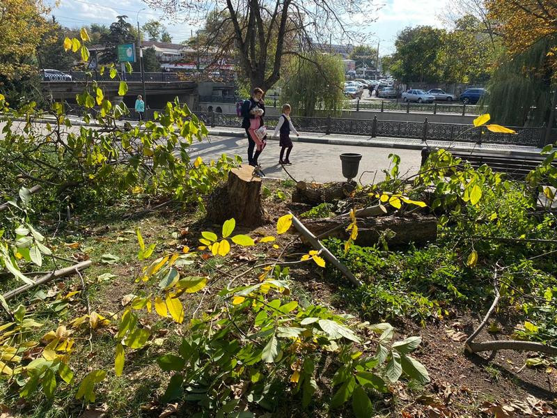 Фото: Алексей Гладкий