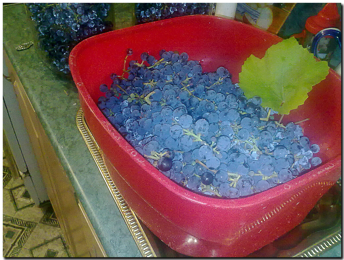 Осенний урожай винограда.