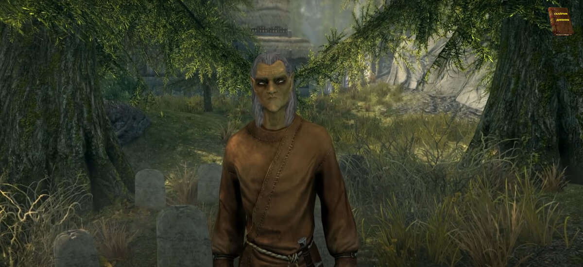 скрин из игры