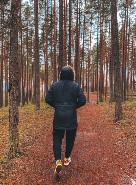 Ленинградская область. Весна 2020 года.