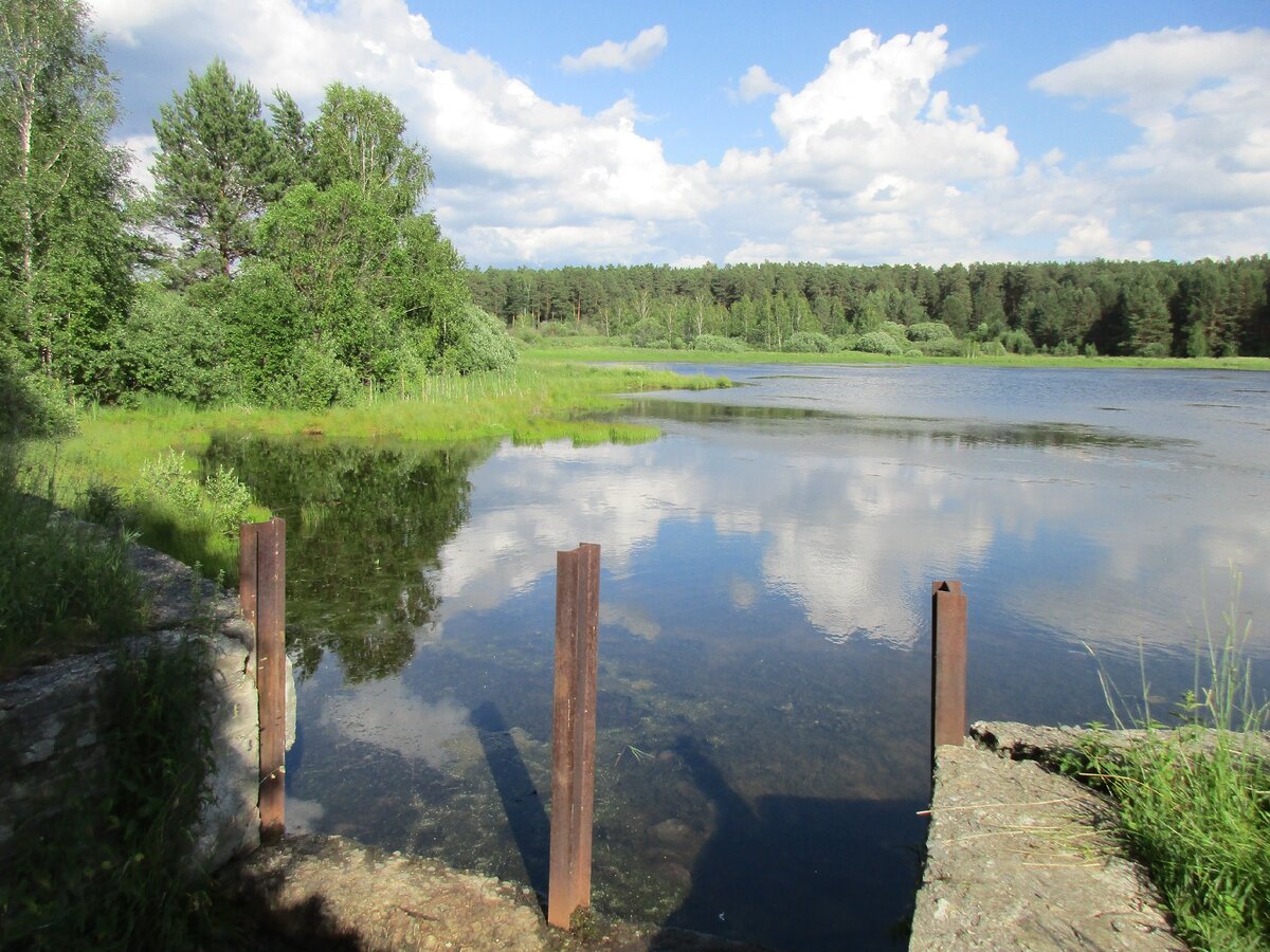 Солнечный остров мостовское. Пруд 15 на 20 метров. Мостовские пруды. Зассовские поляны. Мостовские пруды.