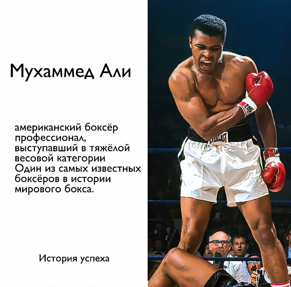 Интересные факты о Мухаммеде Али: 
•В 2002 году Али получил свою звезду в Голливуде, но не знаменитой Аллее славы. Легендарный спортсмен попросил, чтобы его отметили на стене в Kodak Theater, где ежегодно проходит церемония вручения Оскаров. Али не хотел, чтобы его имя топтали.

•«Первым человеком, которого я нокаутировал, была моя мать», — рассказывал Али. В возрасте двух лет Мухаммед выбил два зуба своей матери Одессе Клей.

•После завершения спортивной карьеры Мухаммед Али активно занимался общественной и благотворительной деятельностью, и на протяжении 10 лет был Послом доброй воли ЮНИСЕФ.

•Знаменитый боксёр был многогранной личностью. Он выпустил собственный музыкальный альбом, сыграл в мюзикле и написал собственную автобиографию.

•На профессиональном ринге он провёл 549 раундов.