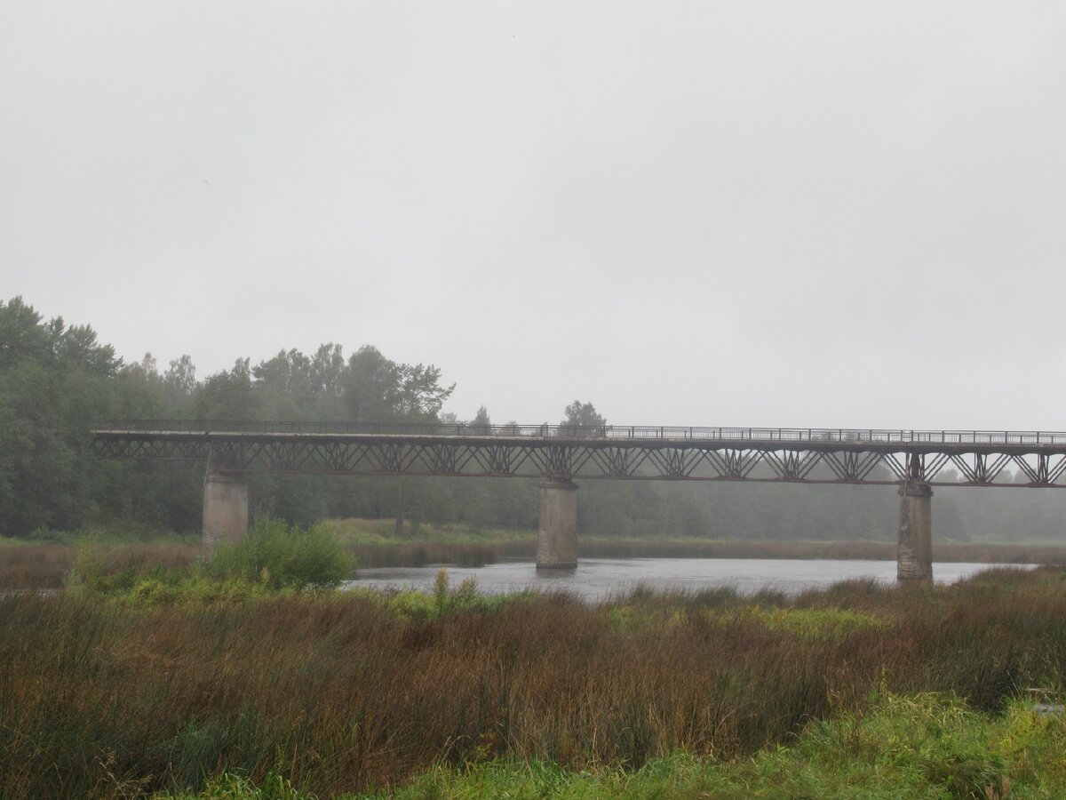Мост через реку Луга - где все и происходило. Это новый мост - старый был чуть ближе...