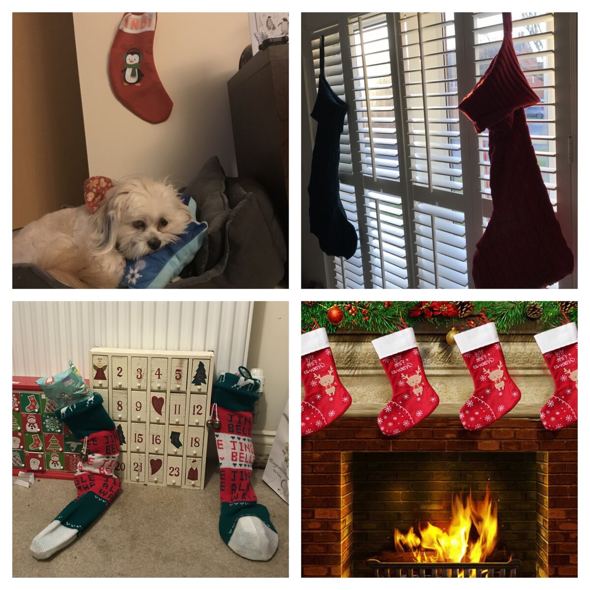 Рождественские чулки в разных домах. Даже у собаки есть свой рождественский чулок. В него кладут всякие вкусняшки. Коллаж из личного архива 