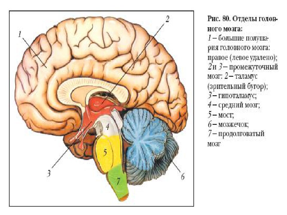 Взято из открытых источников