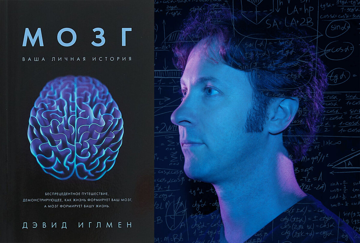 Книга мозг слушать. Мозг Дэвид Иглман. Мозг книга Дэвид Иглман. Дэвид Иглмен мозг ваша личная история. Дэвид Иглмен 2021.