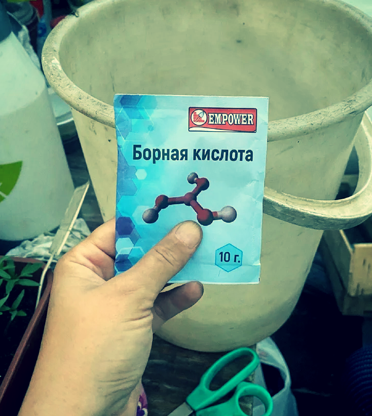 Борная кислота незаменима для огурчиков.