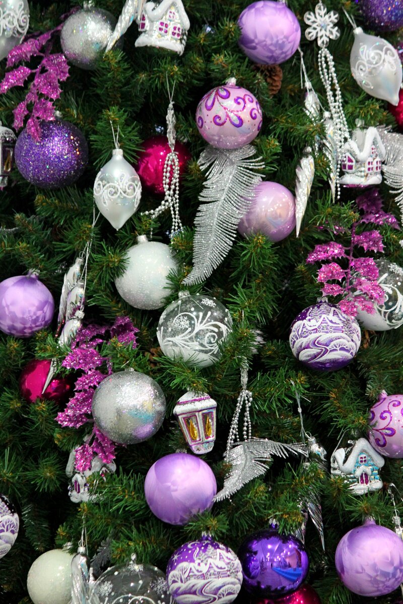 Фото: Татьяна Жукова