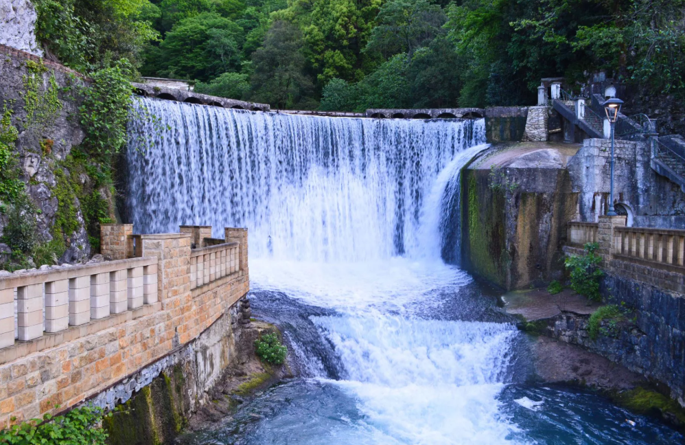 Яндекс картинки 