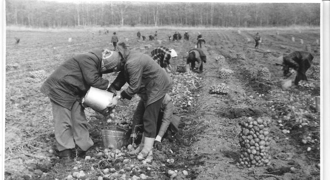 Слово не воробей,вылетит -не поймаешь!