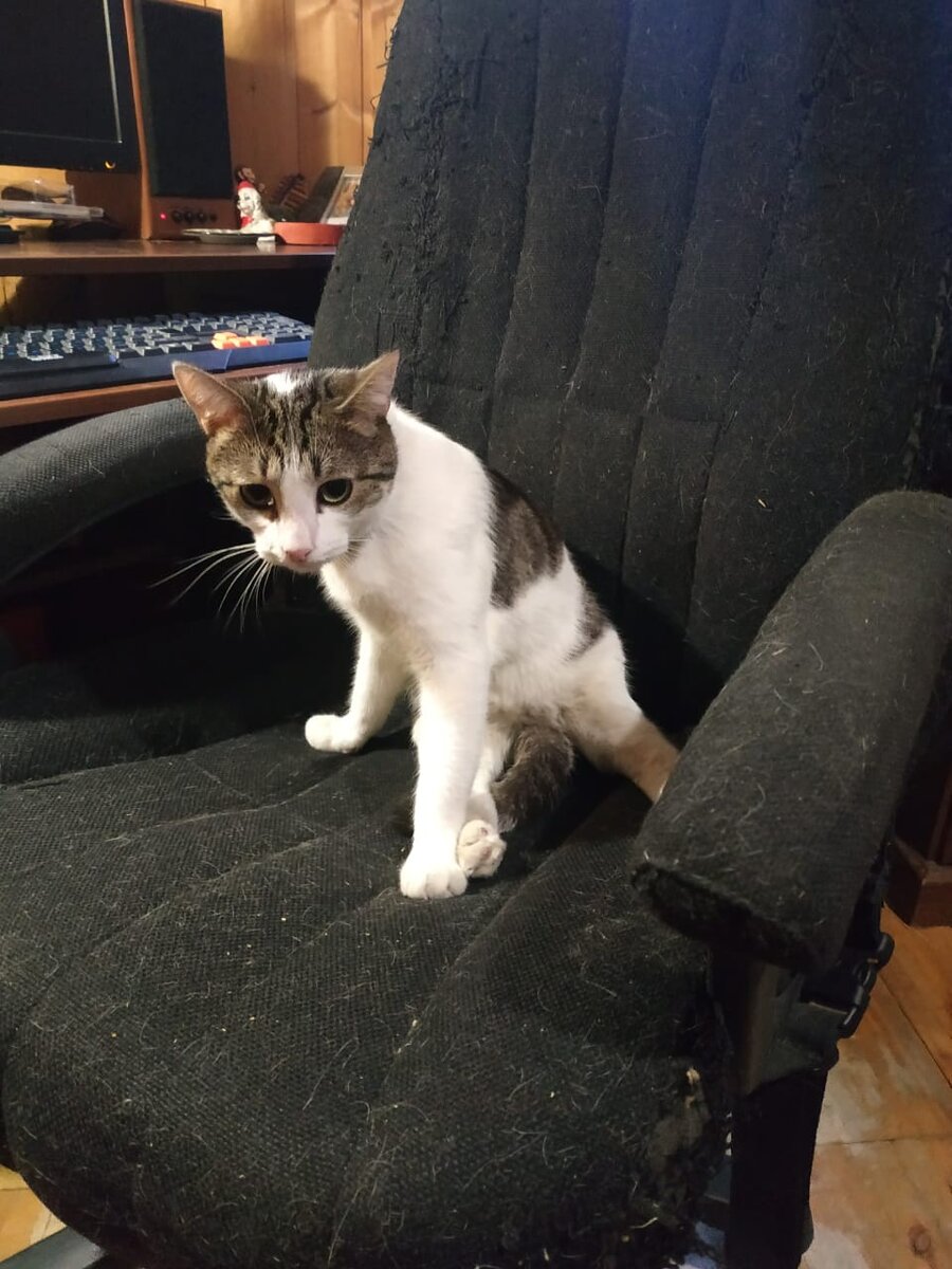 Милый обаятельный мальчик