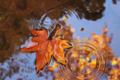 https://pixabay.com