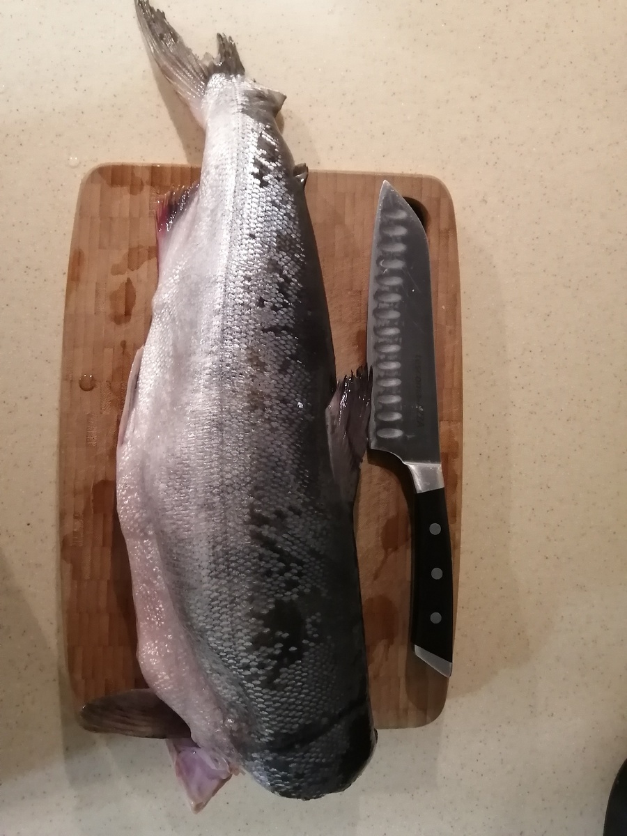 Фото автора. Вот такой экземпляр попался в первый раз (без головы и частично без хвоста).