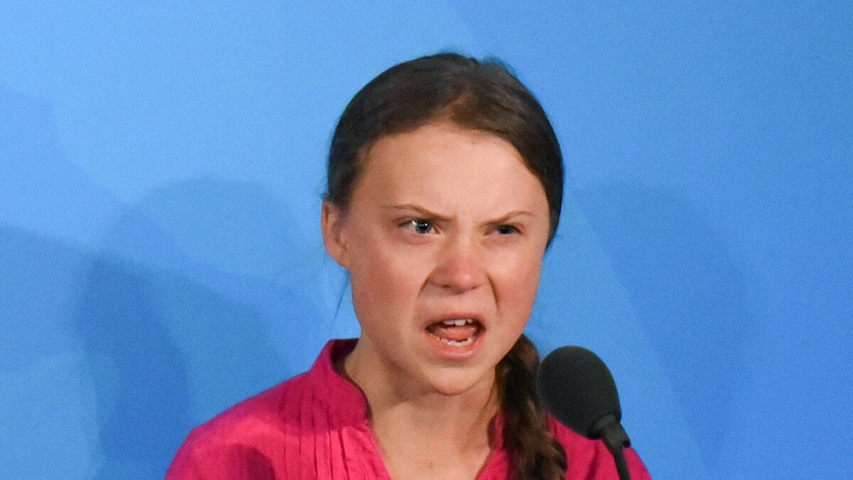 Греты Тунберг на мусорящих не хватает 🤣  Фото из интернета