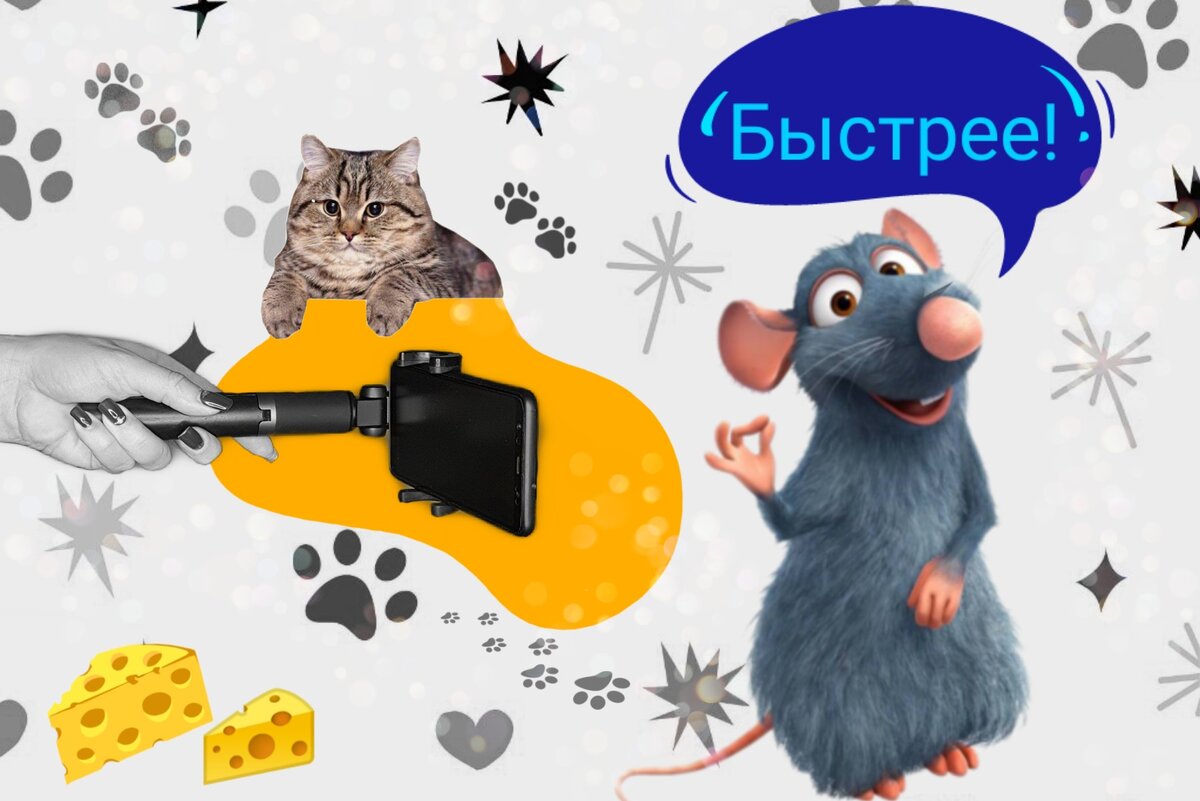 Авторский курс по созданию видео 