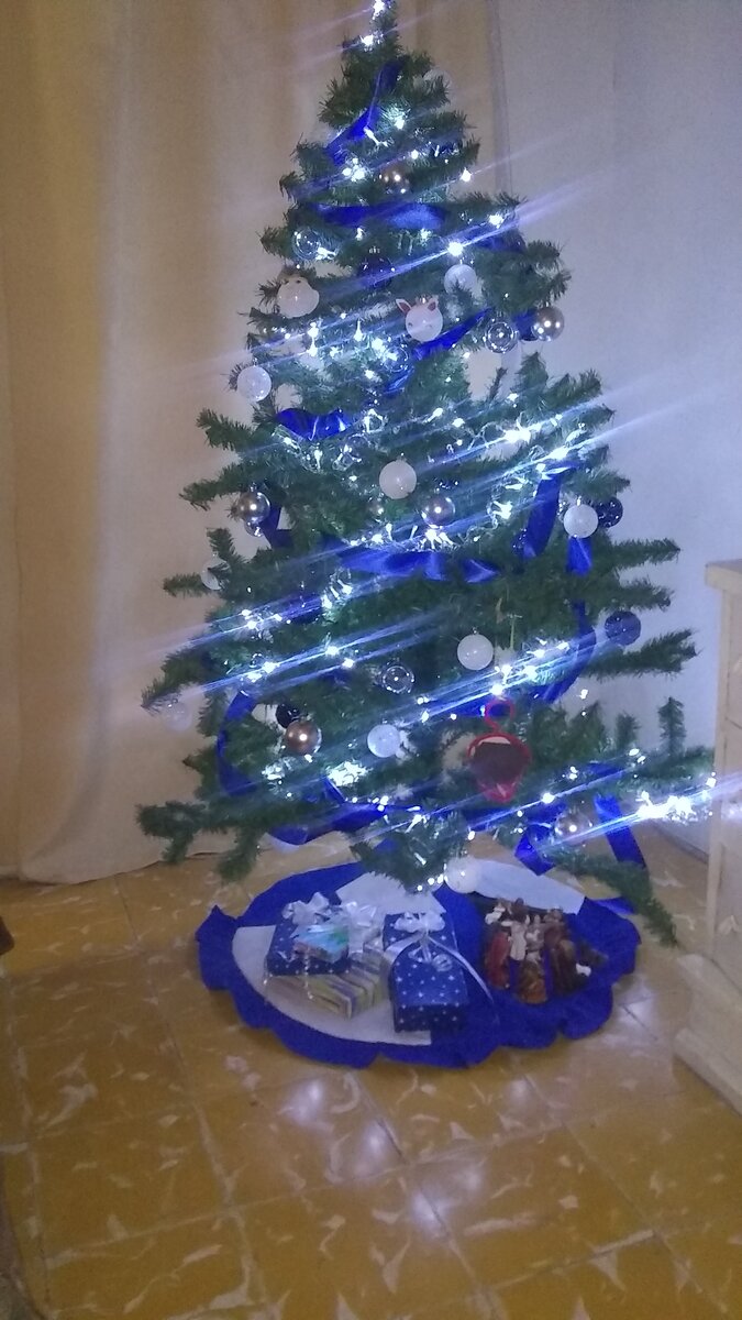 Наша ёлочка