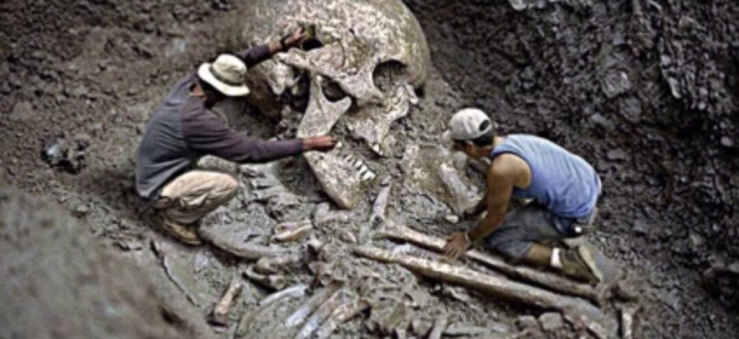 Фото из открытого источника