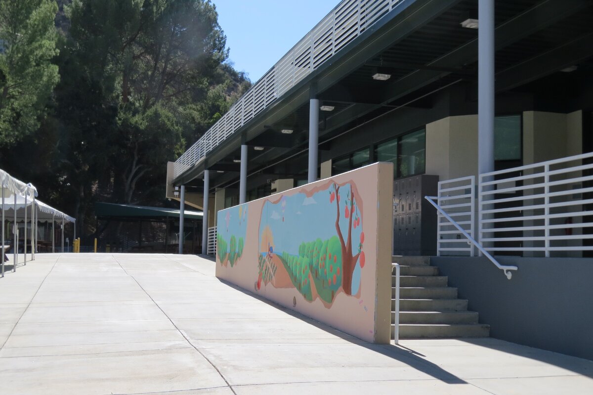 Осень 2020 года. Фото автора.