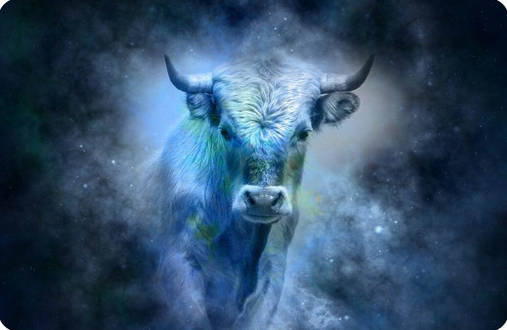 2021 - год Металлического Быка