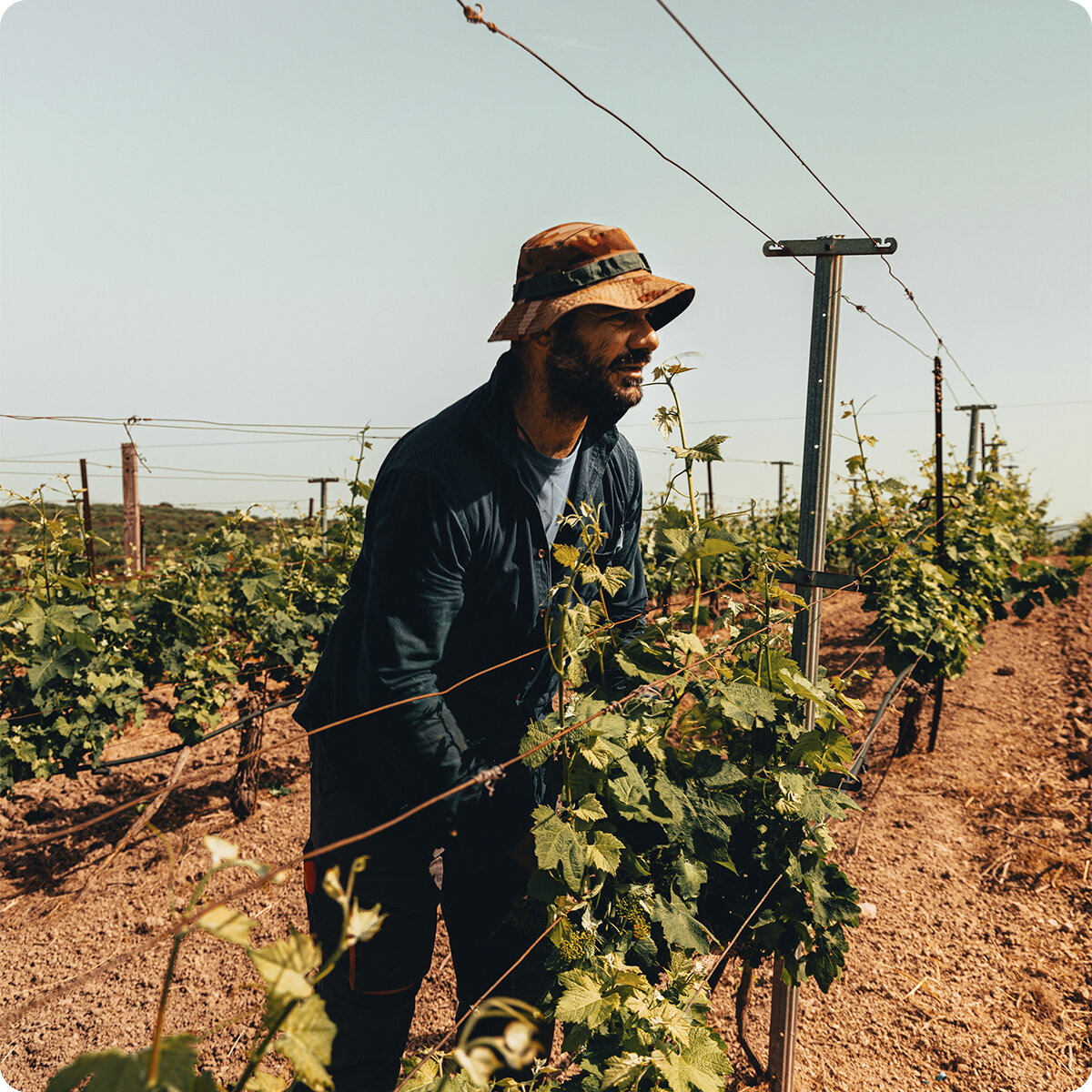 Photo by LAMBROS LYRARAKIS on Unsplash 