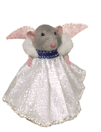 крыса-ангел-принцесса