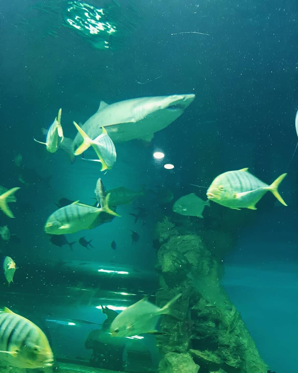 Фото из личного архива