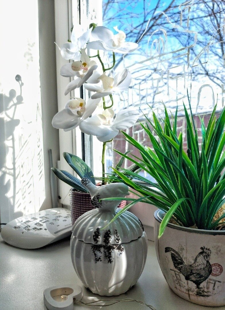 Весеннее утро