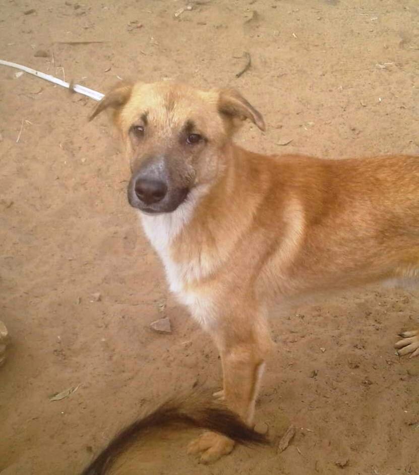 На прогулке