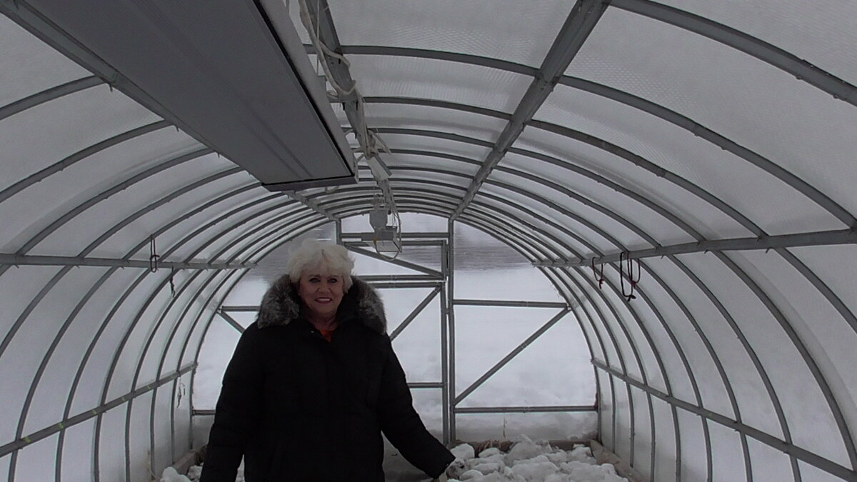 Инфракрасные обогреватели на потолке позволяют раньше высадить рассаду в теплицу и раньше получить урожай.