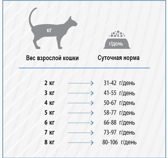 Вес кошки норма