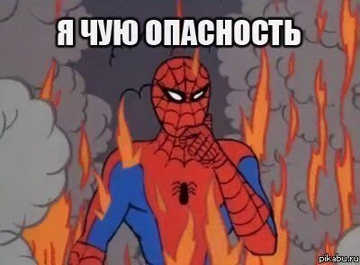 Уровень самосохранения кота :)