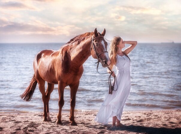 Автор в ожидании "того самого". Даже коня подготовила. Хоть и не белый, но тоже пойдет))