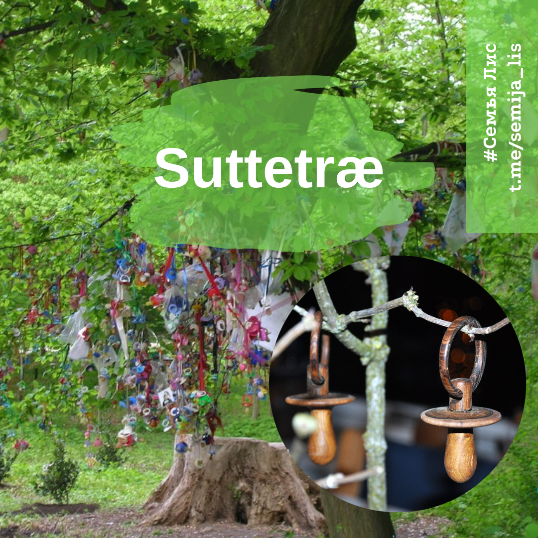 Датская традиция отдавать соски дереву