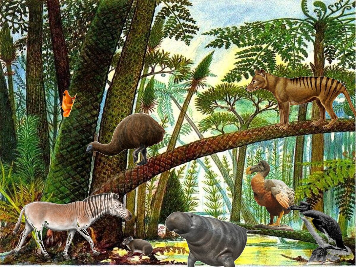 Исчезнувшие виды животных (коллаж): тур, стеллерова или морская корова, дикая лошадь тарпан, большой моа, дронт и др.