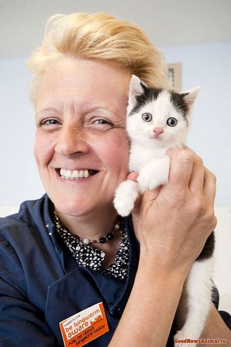 В приюте. Источник фото: https://prostolike.net/animals/muzhchina-dumal-chto-soshyol-s-uma-kogda-slyshal-myaukane-okazalos-kotenok-nedelyu-sidel-v-furgone-i-ne-mog-vybratsya.html