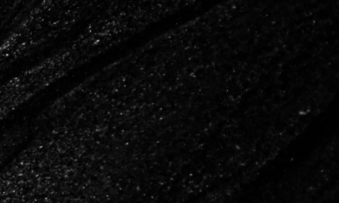 Нефть: гипотеза органического происхождения | Росгеология | Дзен