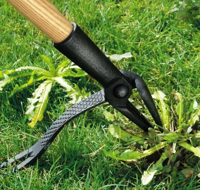 корнеудалитель