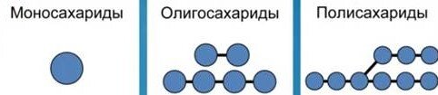 Вот они. углеводы нашего стола: моно-, олиго- и полисахариды. Схема из интернета: https://pdnr.ru