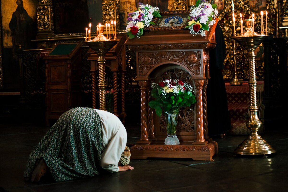 фото из открытого доступного источника сети интернет