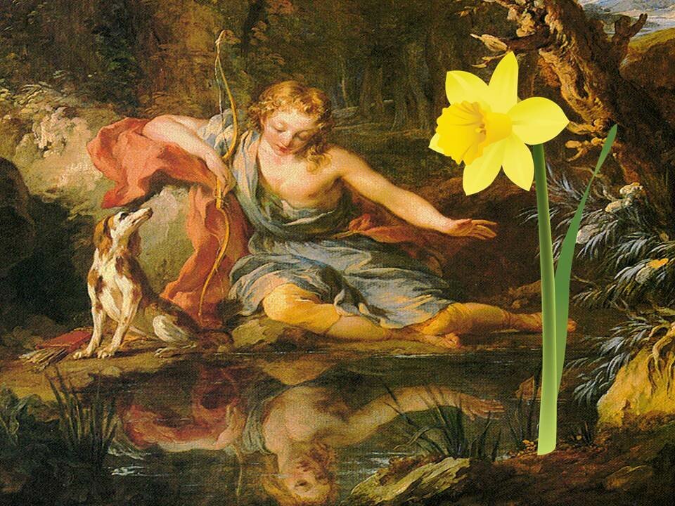 Самовлюбленный Нарцисс