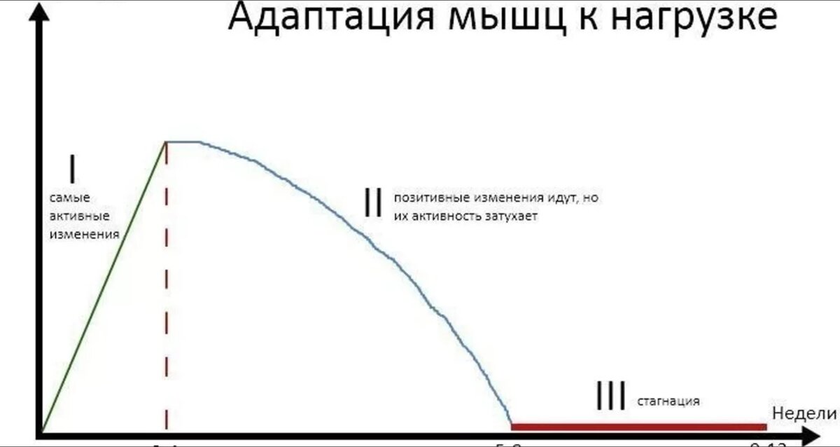 Как часто надо менять работу. Как часто люди меняют работу статистика. Как часто менять программу. "отсутствовали как таковые". Программа фитнес тренировок для мужчин в тренажерном зале.