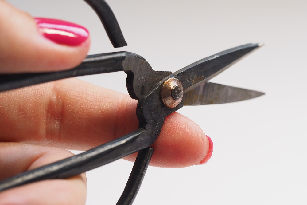 В Новосибирске ищут профессионального заточника. Фото: Jess Bailey, pixabay.com