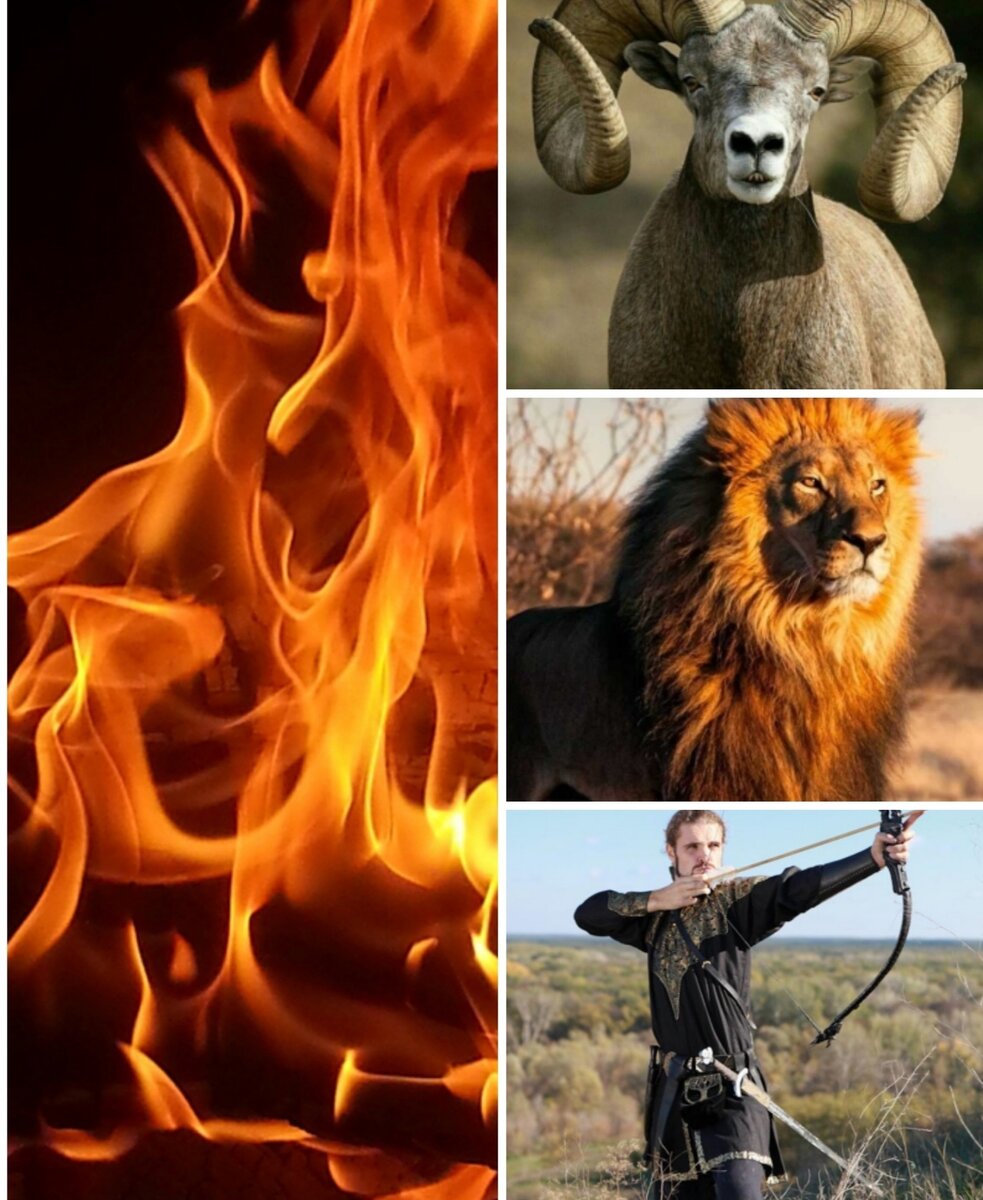 Коллаж фото из открытых источников.