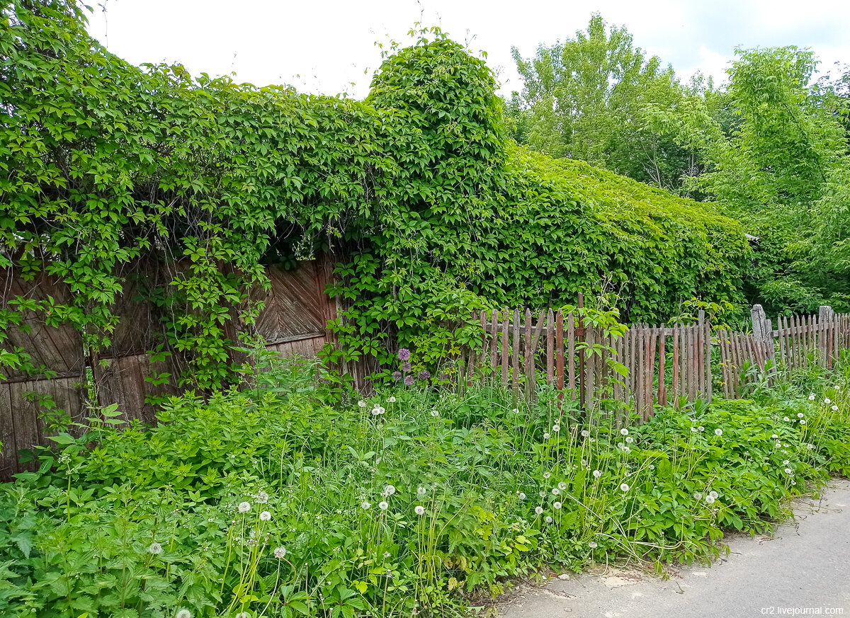 В переулочках Каширы. Московская область. Фото автора статьи 