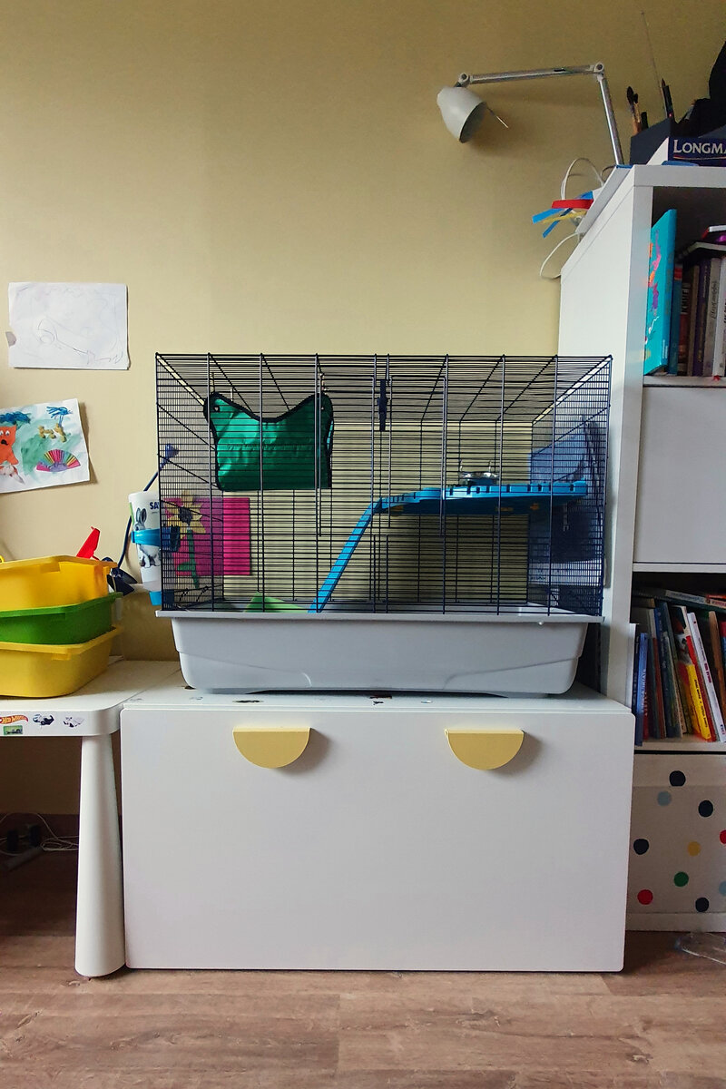 Клетка за 15 000 классная. В комплект входят полочка для второго этажа, гамачок для сна, горка, поддон, поилка и мисочка для еды.