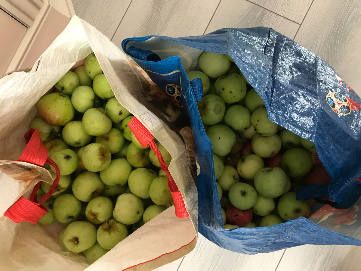 Две сумки с садовыми яблоками. Примерно 6 килограмм.