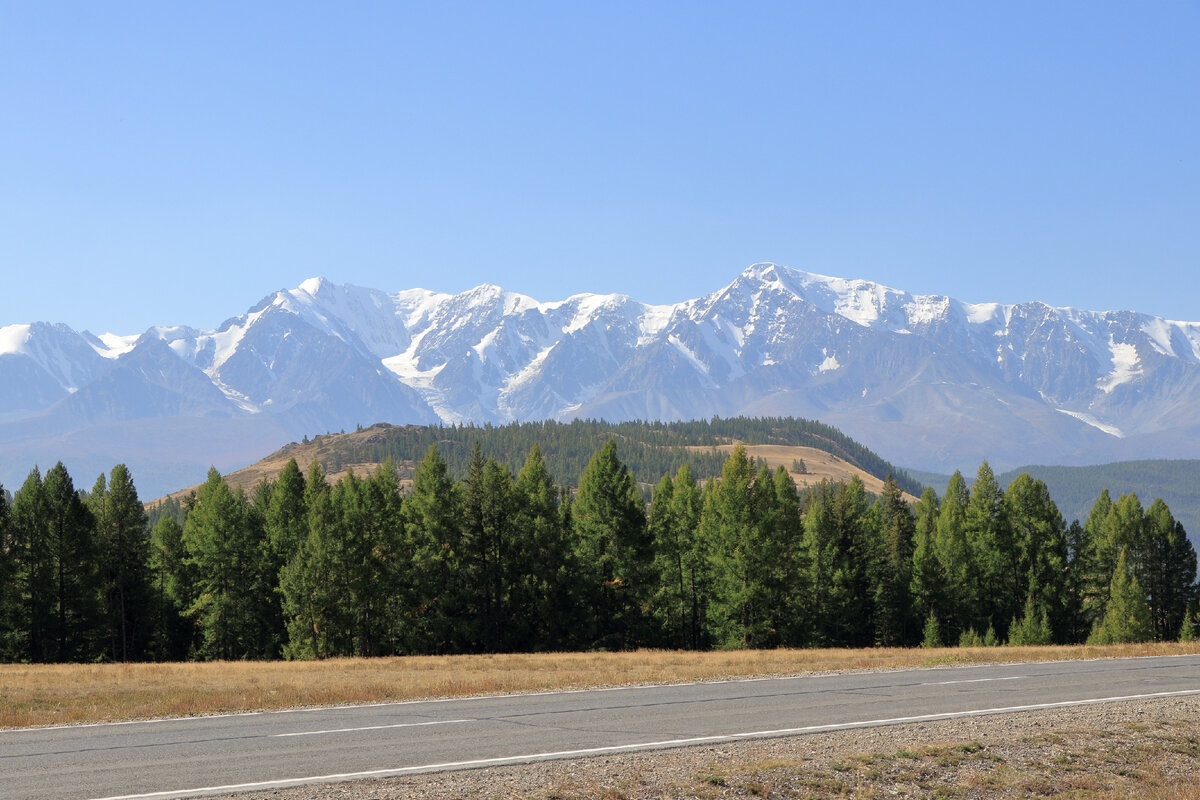 Северо-Чуйский хребет - Хребет в горах Алтая. Длина более 120 км. Наивысшая точка хребта— 4173 м (пик Маашей-баш). Первый горный хребет с вечными снегами на вершинах, открывающийся с Чуйской трассы (за селом Акташ).